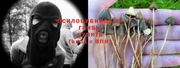 a pvp Киренск